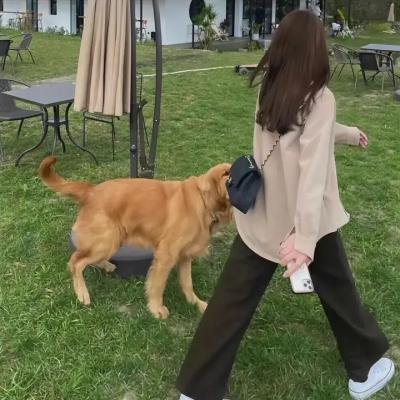 校园丑闻事件簿