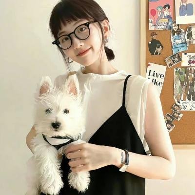 英雄正传
